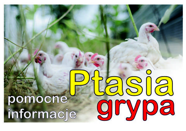 Informacja nt. wirusa ptasiej grypy typu H5N8 na terenie województwa lubelskiego