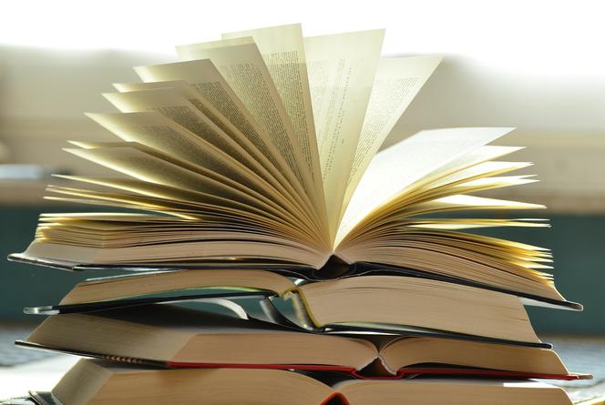 INFORMACJA NT. FUNKCJONOWANIA BIBLIOTEKI PUBLICZNEJ W KRASNOBRODZIE